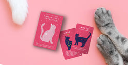 Paw-Mistry Cards: Cat Edition