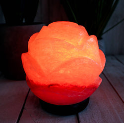 Lotus Flower Globe Shape Salt Lamp 6