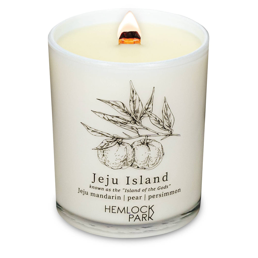 7.2oz Passport Candle: Big Sur | mountain mahogany with sage and redwood