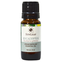 Eucalyptus Essential Oil - 10 ml