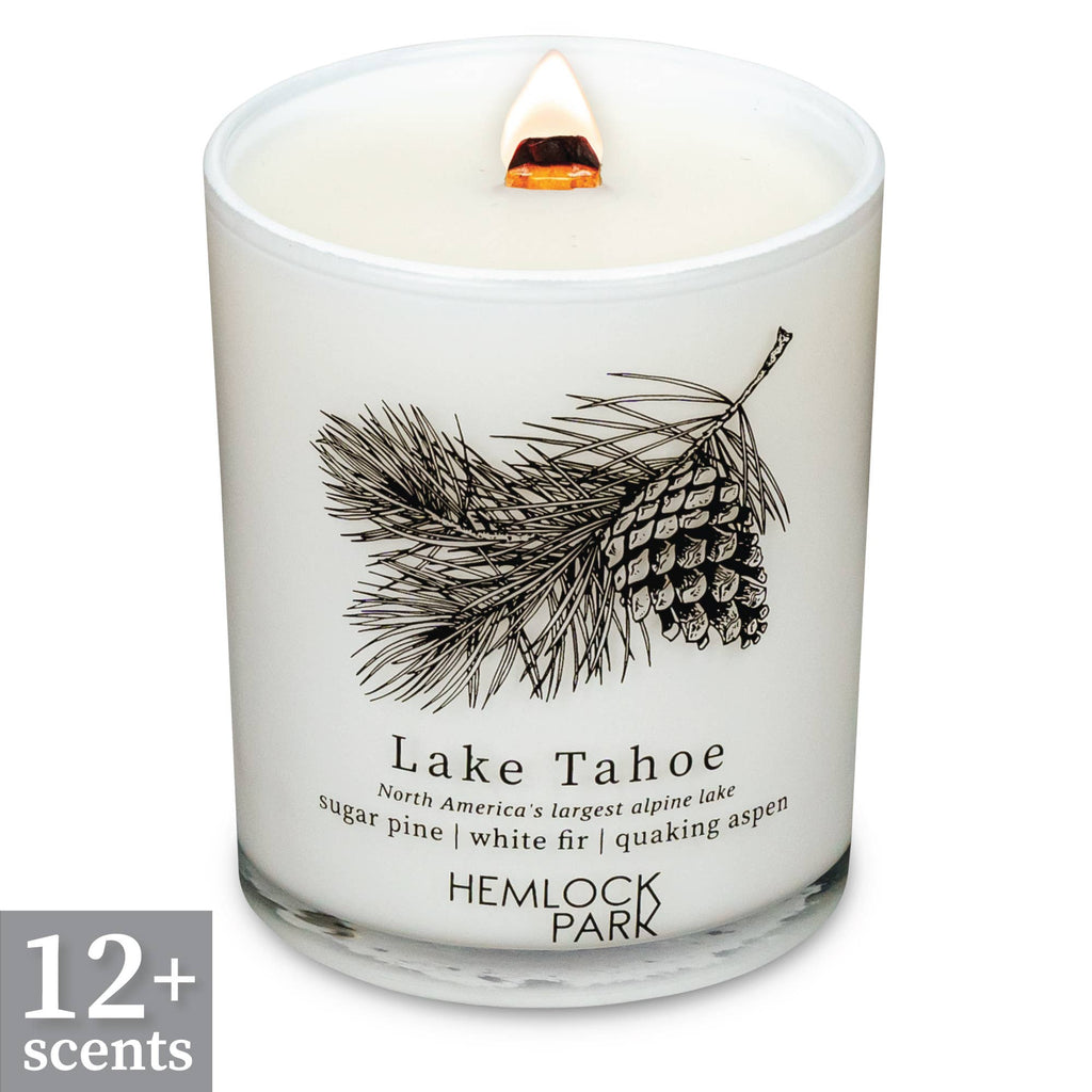 7.2oz Passport Candle: Lake Tahoe | sugar pine, white fir, quaking aspen