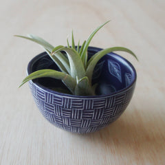 Two Pattern Bowl: Purple