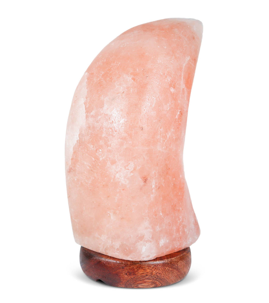 Moon Shape Salt Lamp 9