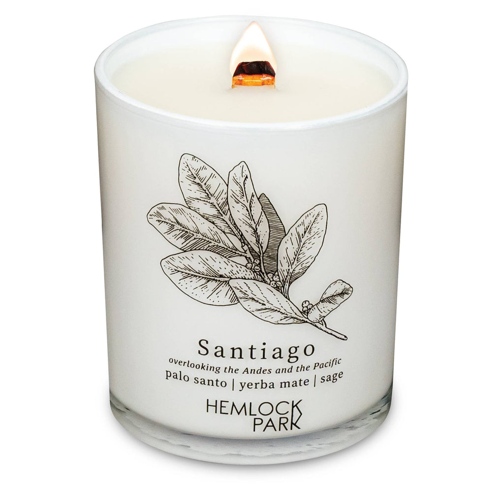 7.2oz Passport Candle: Big Sur | mountain mahogany with sage and redwood