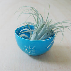 Two Pattern Bowl: Pale Blue