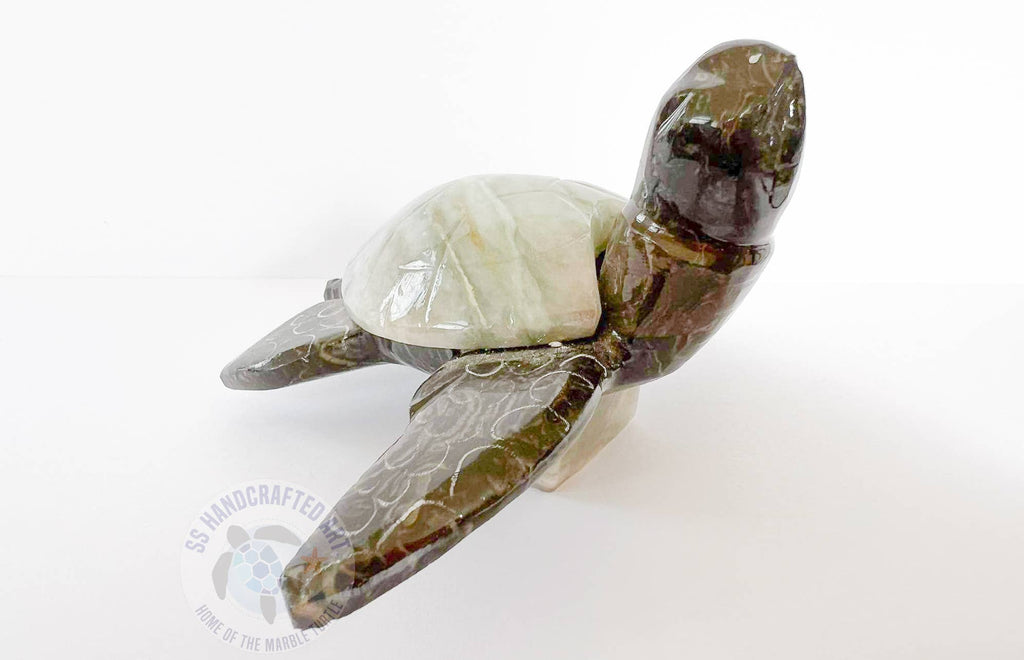 Marble Turtle Flying Wings 4