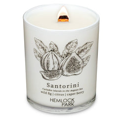 7.2oz Passport Candle: Big Sur | mountain mahogany with sage and redwood