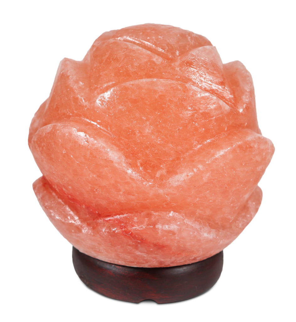 Lotus Flower Globe Shape Salt Lamp 6