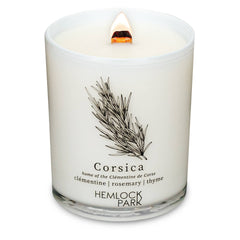 7.2oz Passport Candle: Big Sur | mountain mahogany with sage and redwood