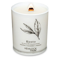 7.2oz Passport Candle: Big Sur | mountain mahogany with sage and redwood