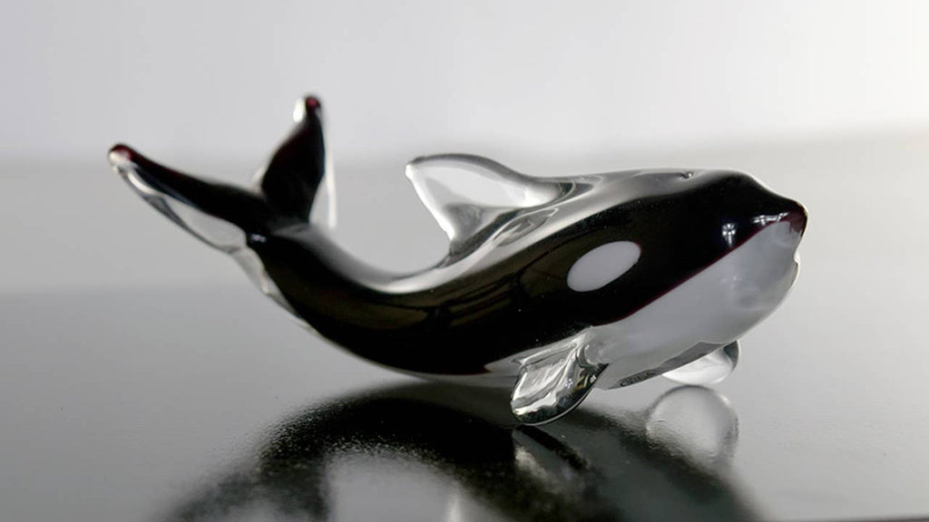 Glass Killer Whale 5