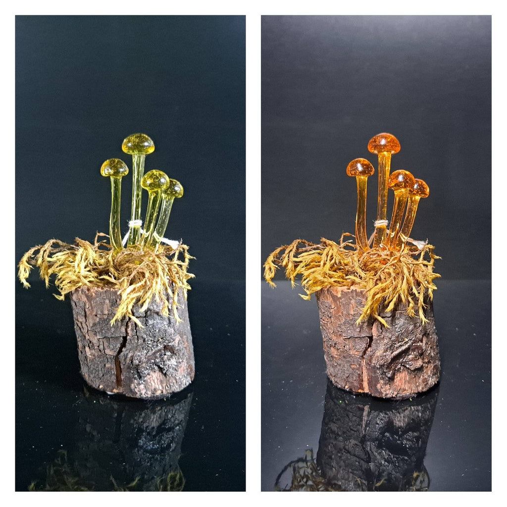 Mushroom Sculpture, Color Changing Mushrooms, Made to Order: Siriusly